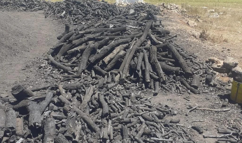 İstanbul Mangal Kömürü